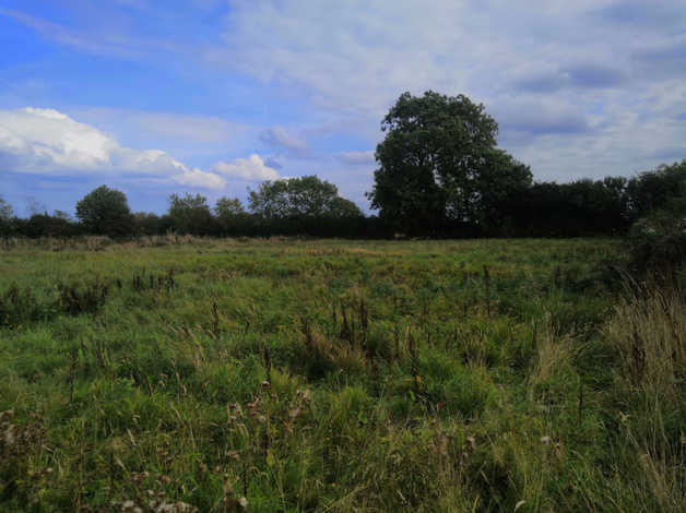 Detached 2 Bed Cottage & separate1 1 Acre village Paddock with water supply in Gayton le Marsh for sale in Alford